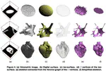 Constructing Iso-Surfaces Satisfying the Delaunay Constraint; Application to the Skeleton Computation